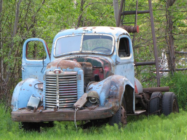 Old workhorse out to pasture near Fairview Loop Road