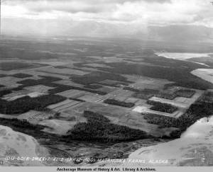 Springer System farms, June 7, 1941. Photographer: U.S. Army Air Corps.